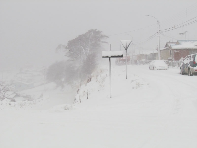 Alerta Roja por intensas nevadas en la Provincia Antártica Chilena